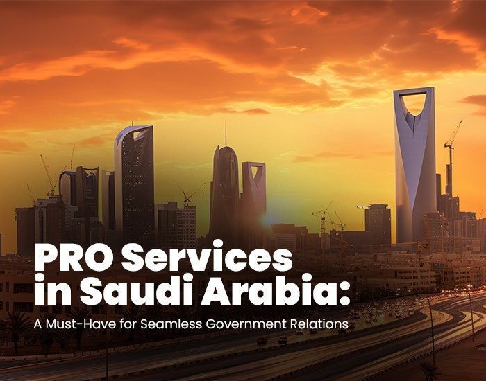 Government & Business Services in Saudi Arabia