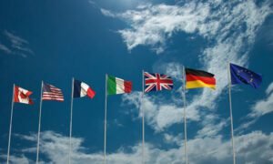 Company Formation and International Business Success