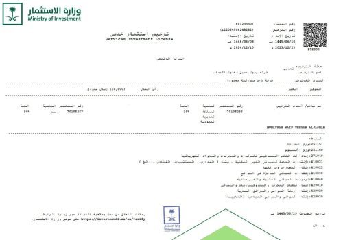 Saudi company formation